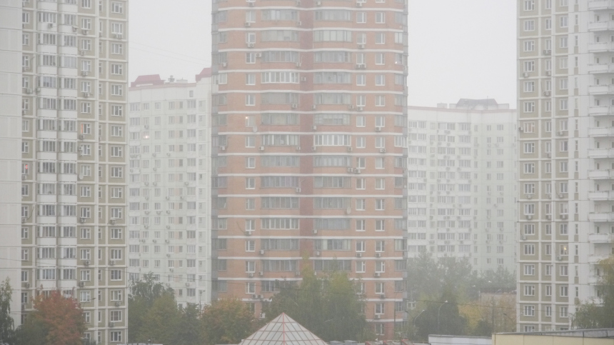Сильный туман в Московской области сегодня ночью — новости