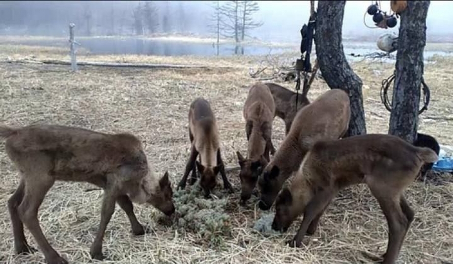 Михаил Дегтярев провел рабочую встречу с главой Аяно-Майского района Алексеем Ивлиевым