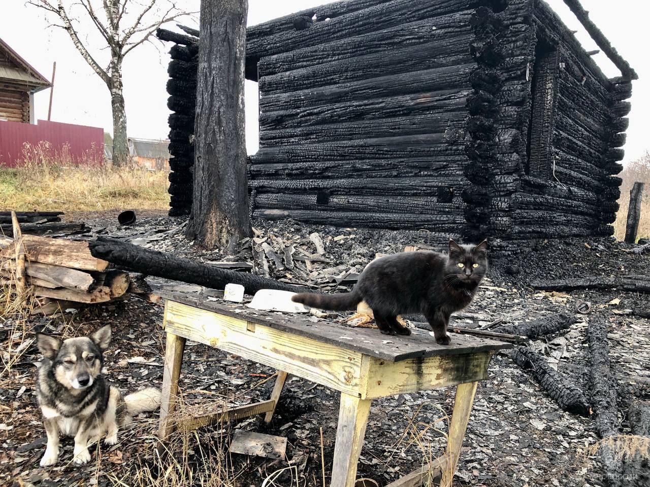 Угли остались от сгоревшего в Марий Эл дома