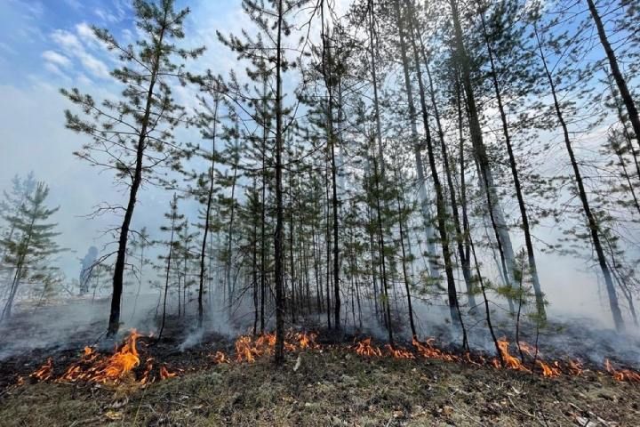 18 природных пожаров потушили в Якутии 22 августа