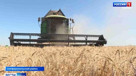 Аграрии Крыма списали почти восемь гектаров зерна из-за погоды