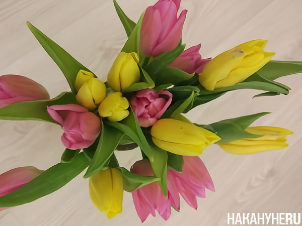 Фото: Накануне.RU