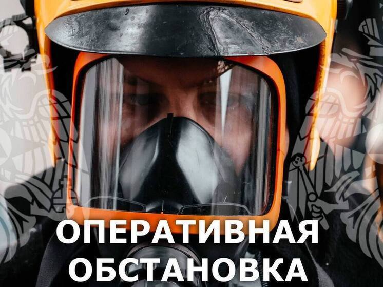 За сутки в Тверской области тушили дом, баню и мусор