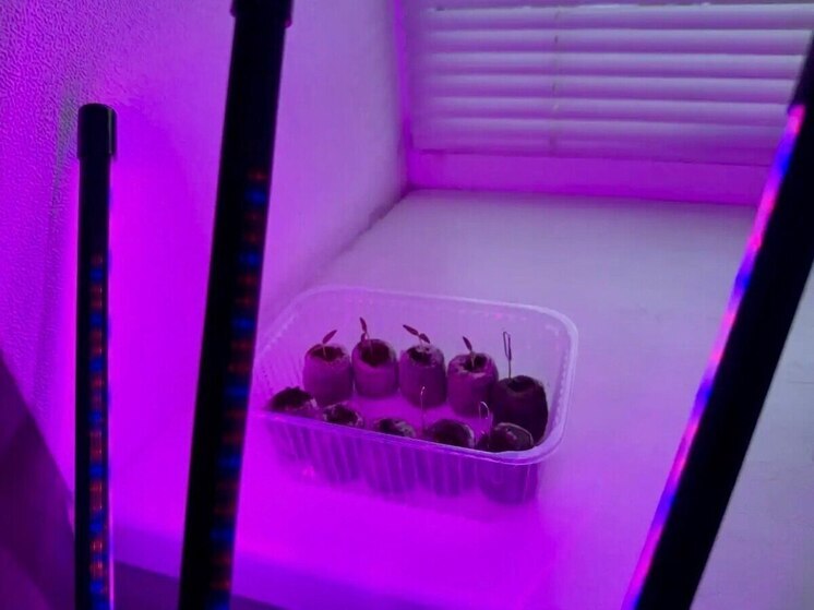 Глава калужского ведомства занялся растениеводством