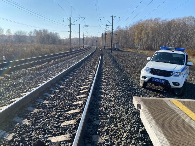 Грузовой поезд сбил пожилую женщину на железной дороге в Алтайском крае