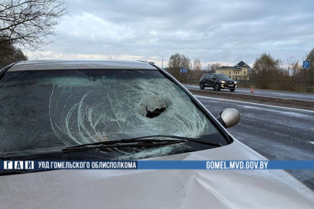 Сначала Renault, потом Honda. Под Гомелем в ДТП погибла пенсионерка