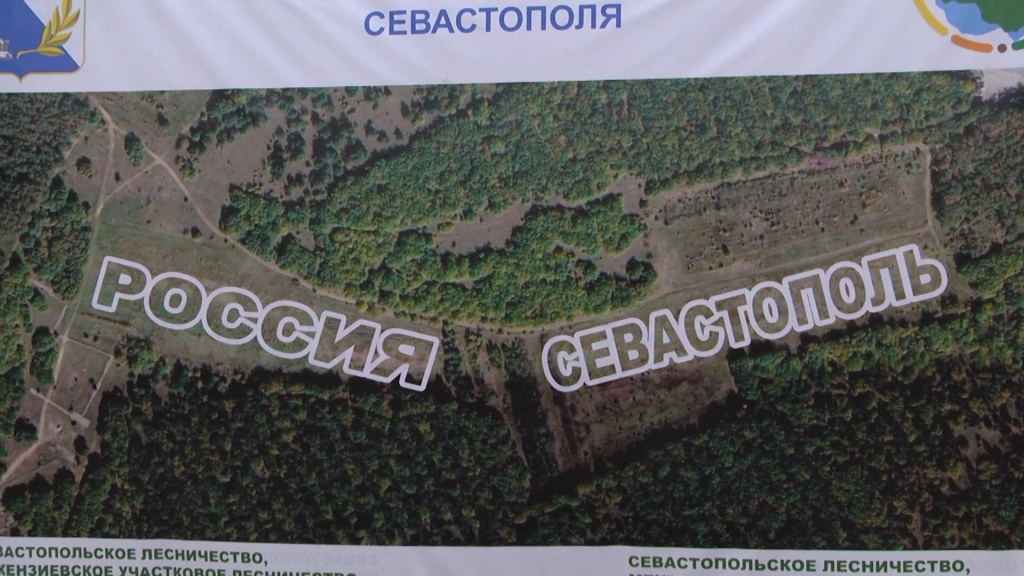 Саженцы в форме топонима «Севастополь» высадили в Мекензиевском лесничестве (ВИДЕО)