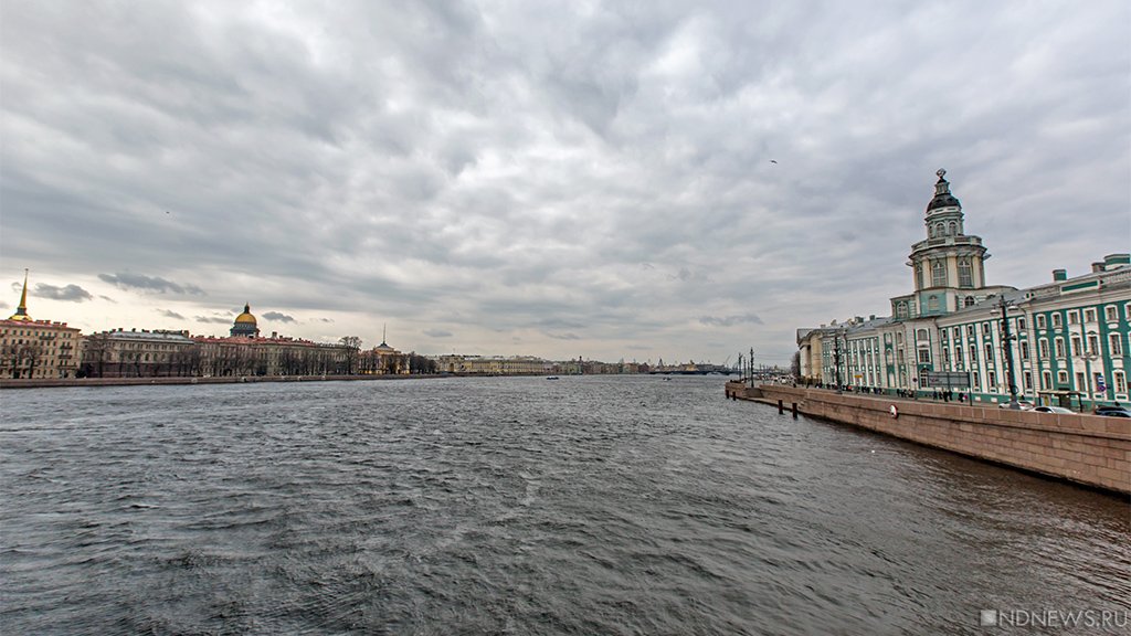 Главная река Санкт-Петербурга за ночь поднялась более чем на 2 метра