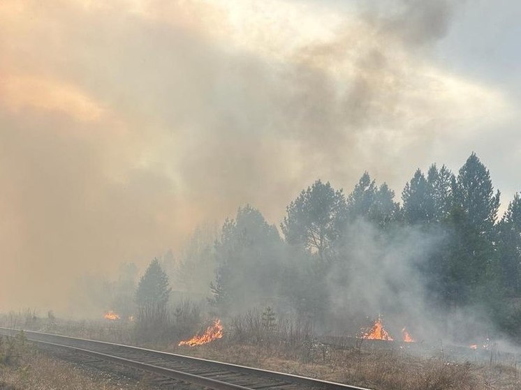 В лесах Иркутской области потушили 11 пожаров