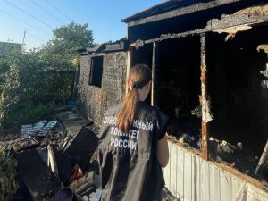 На пожаре в Балаковском районе погибли женщина и двое её детей