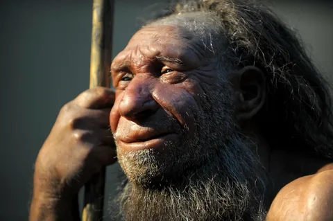 Ученые выяснили, что разговорный язык неандертальцев был похож на современный