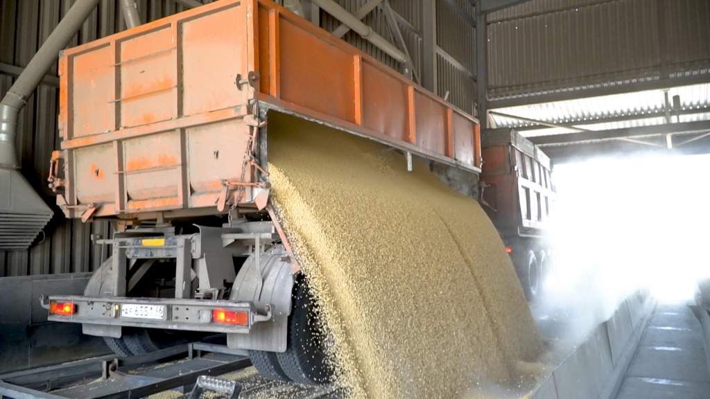 Курские и орловские аграрии вывезли в регионы 1,5 млн тонн продукции