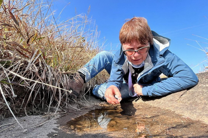 Зоолог Наталья Кузнецова изучает наличие микрофауны в придорожных водоемах, штат Мегхалая. Фото: Леонид Круглов