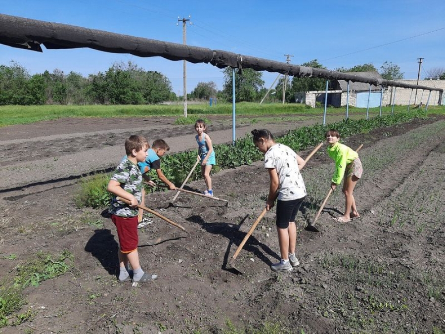 План летней трудовой практики