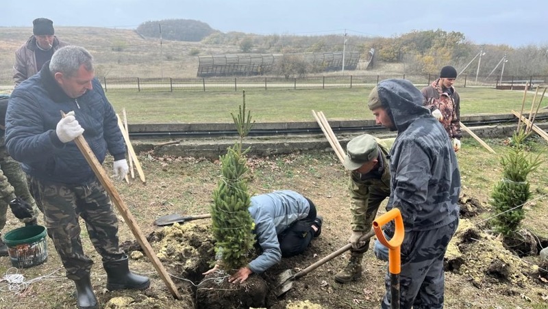 Более 2,5 тыс. деревьев планируют высадить на Ставрополье в рамках акции