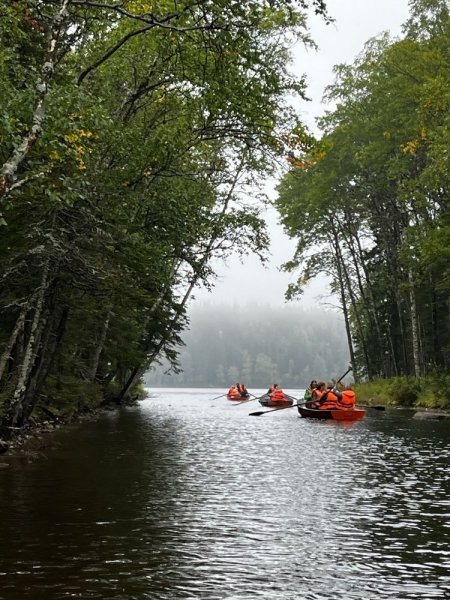 К озёрам Соловецкого архипелага. К красотам Арктики. К музыкальным сокровищам