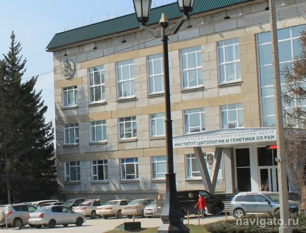 Препарат для пациентов с болезнью Бехтерева запустили в продажу