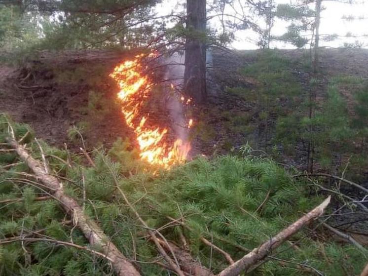 В Муйском районе Бурятии введен режим ЧС