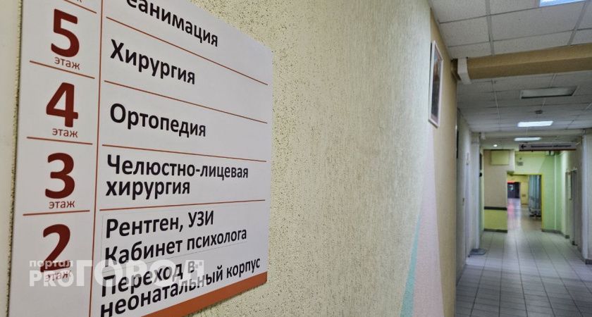 В Коми пожилой водитель попал в больницу, пытаясь избежать наезда на собаку