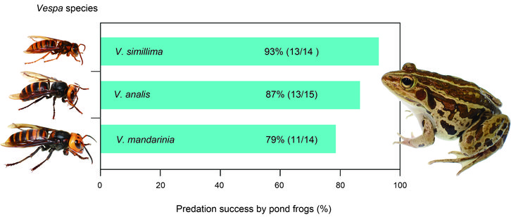 Фото: Ecosphere (2025)