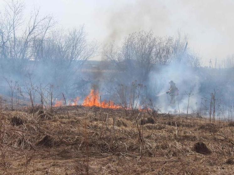 В Ярославской области ввели пожароопасный режим