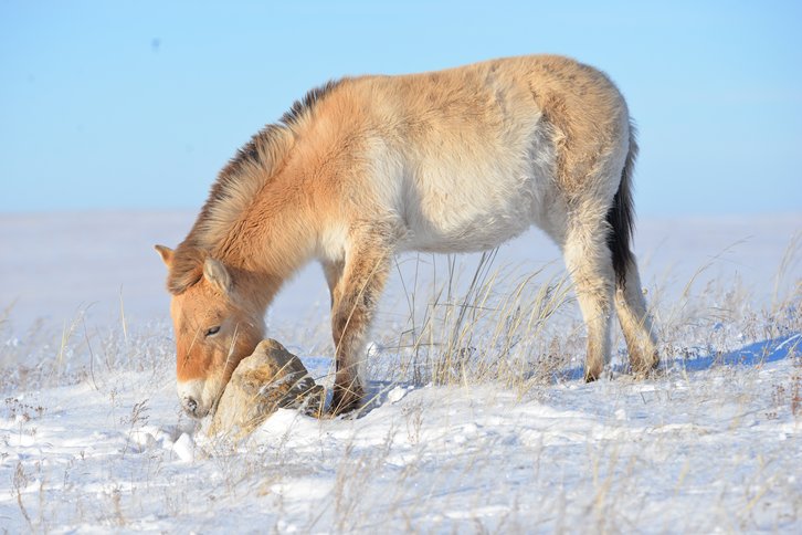 Фото: Евгений Булгаков