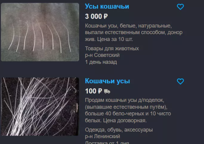 Найти кошачий ус примета