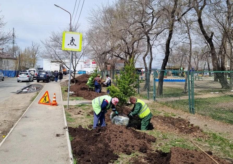 фото: vlc.ru | Новое лицо поселка Трудовое: как деревья, цветы и газоны меняют городскую среду