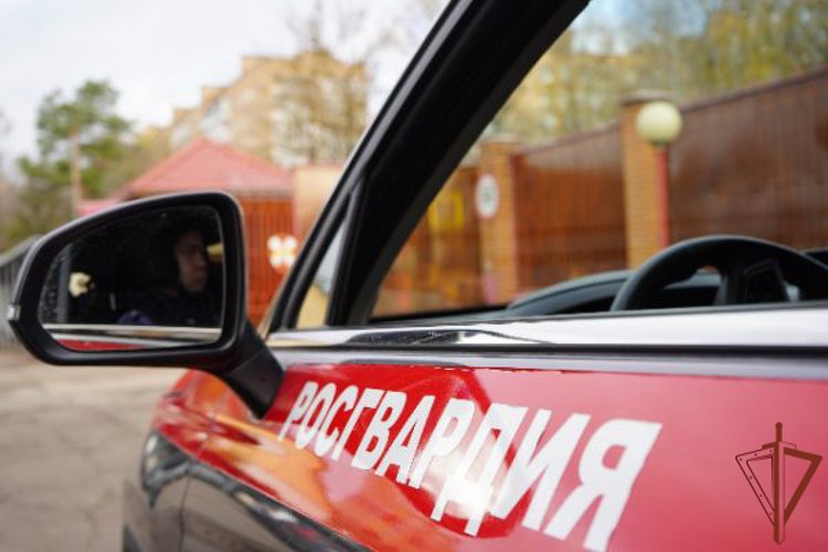 Сотрудники Росгвардии задержали подозреваемого в нанесении ножевых ранений в Подмосковье (видео)