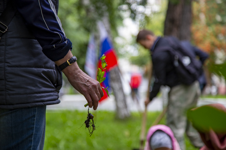 В День флага росгвардейцы приняли участие в высадке саженцев дубов в Челябинске