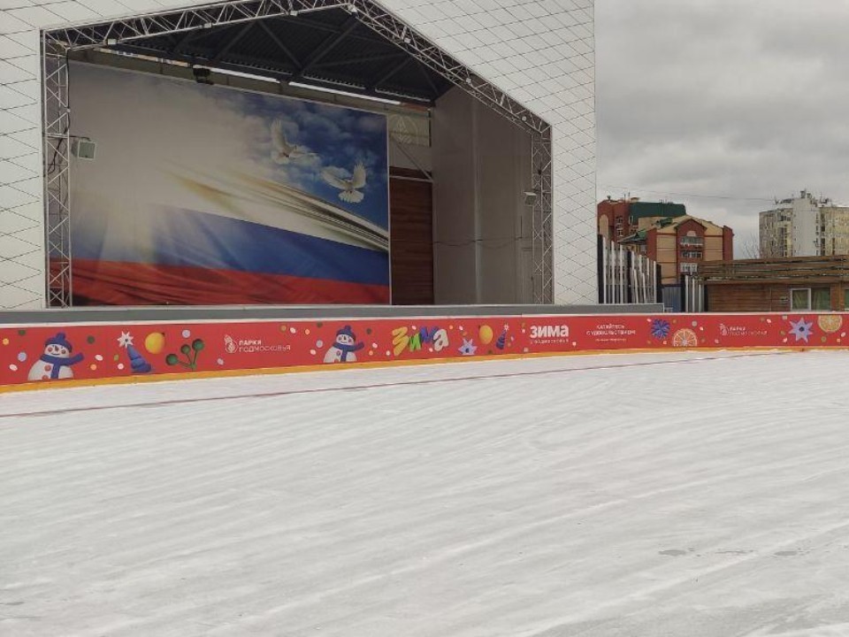 На катке в Центральном парке ввели обязательную предварительную запись