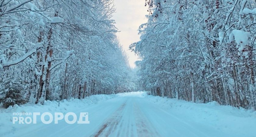 Суд в Коми разделил ответственность за аварию на скользкой трассе между дорожной службой и водителем автобуса