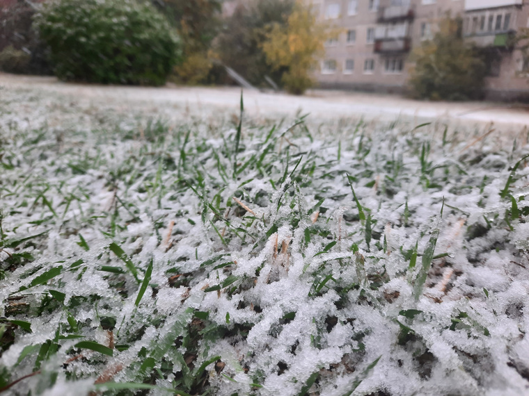 В области выпал снег. Снег в Челябинске. Снег в Челябинской области. Снегопад в Челябинске. Ранний снег в Челябинске.