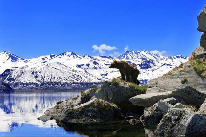 Камчатка стала дальше от России — полуостров сдвинуло на два метра после разрушительного землетрясения