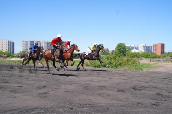 Иркутский ипподром получил статус племенной организации