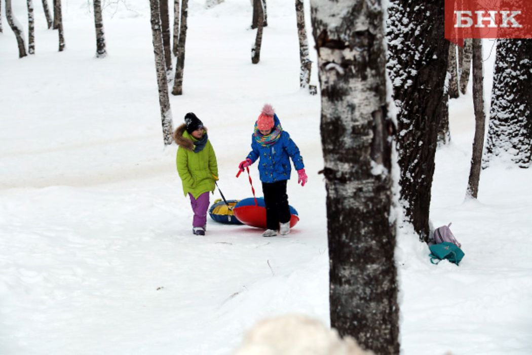 Сыктывкарские власти призвали горожан не использовать стихийные горки