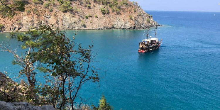 Фото: Алексей Петренко