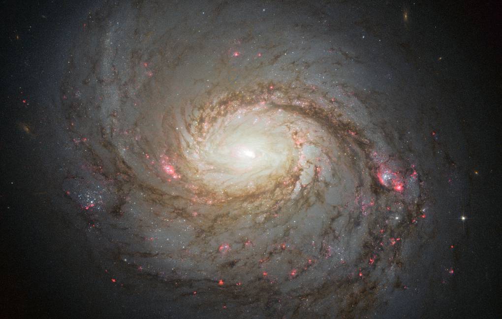 Галактика NGC 1068 NASA, ESA & A. van der Hoeven