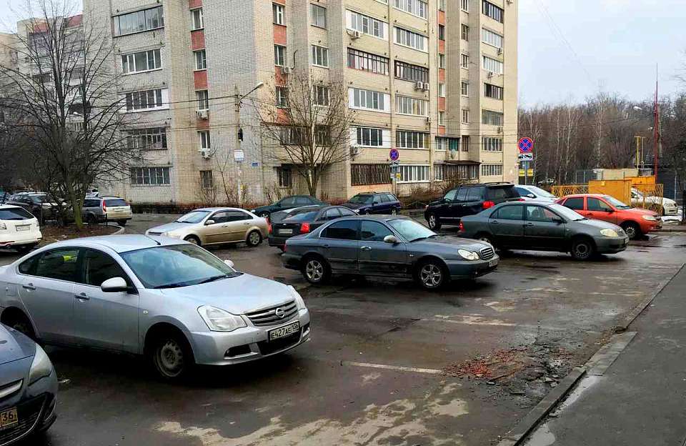 Крысы атаковали припаркованные у домов автомобили в Воронеже
