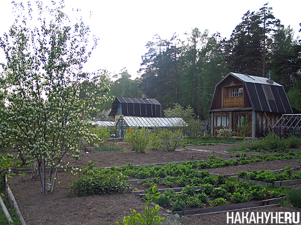 Фото: Накануне.RU