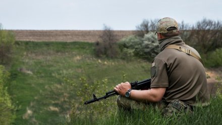 Обвиняемого в убийстве женщины на кукурузном поле в воронежском селе отправили в СИЗО