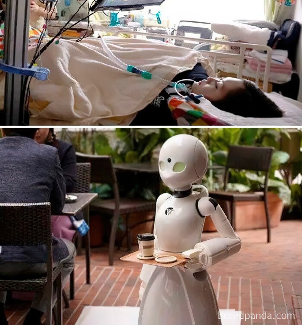 2. В Японии есть кафе, которое даёт возможность парализованным людям почувствовать себя нужными. Их нанимают управлять роботами-официантами