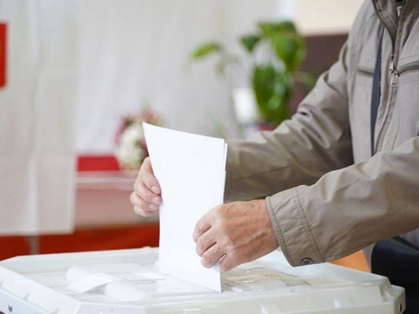 Кто выдвинулся на праймериз «Единой России» от Грибановского, Поворинского и Терновского районов