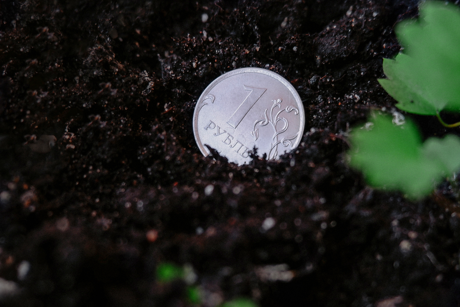 отдам землю в аренду