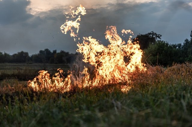 Синоптики прогнозируют ухудшение ситуации с природными пожарами.