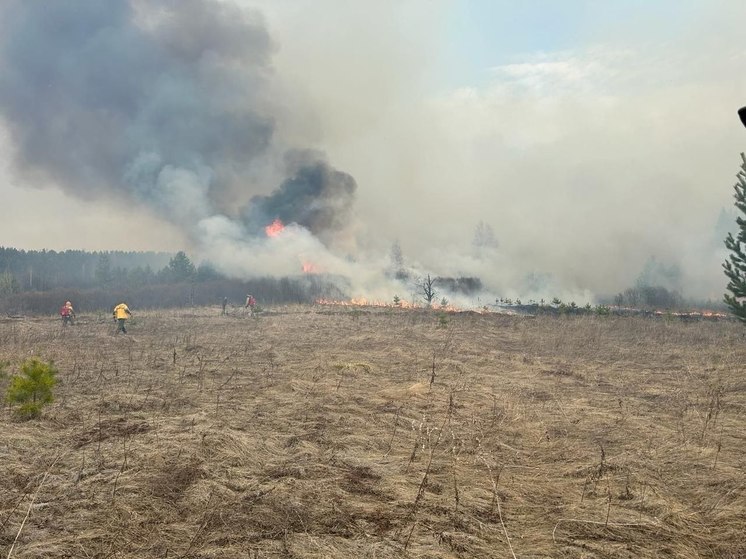 21 лесной пожар потушен в Иркутской области за выходные