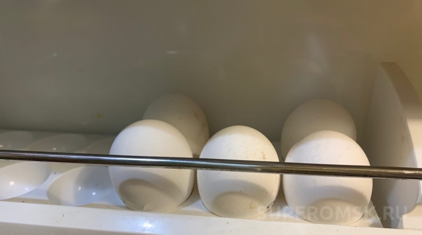 На границе Омской области задержали крупную партию куриных яиц