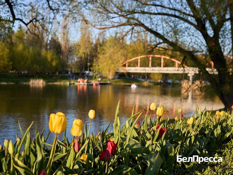 Как Белгород готовится отметить День Победы (фоторепортаж)