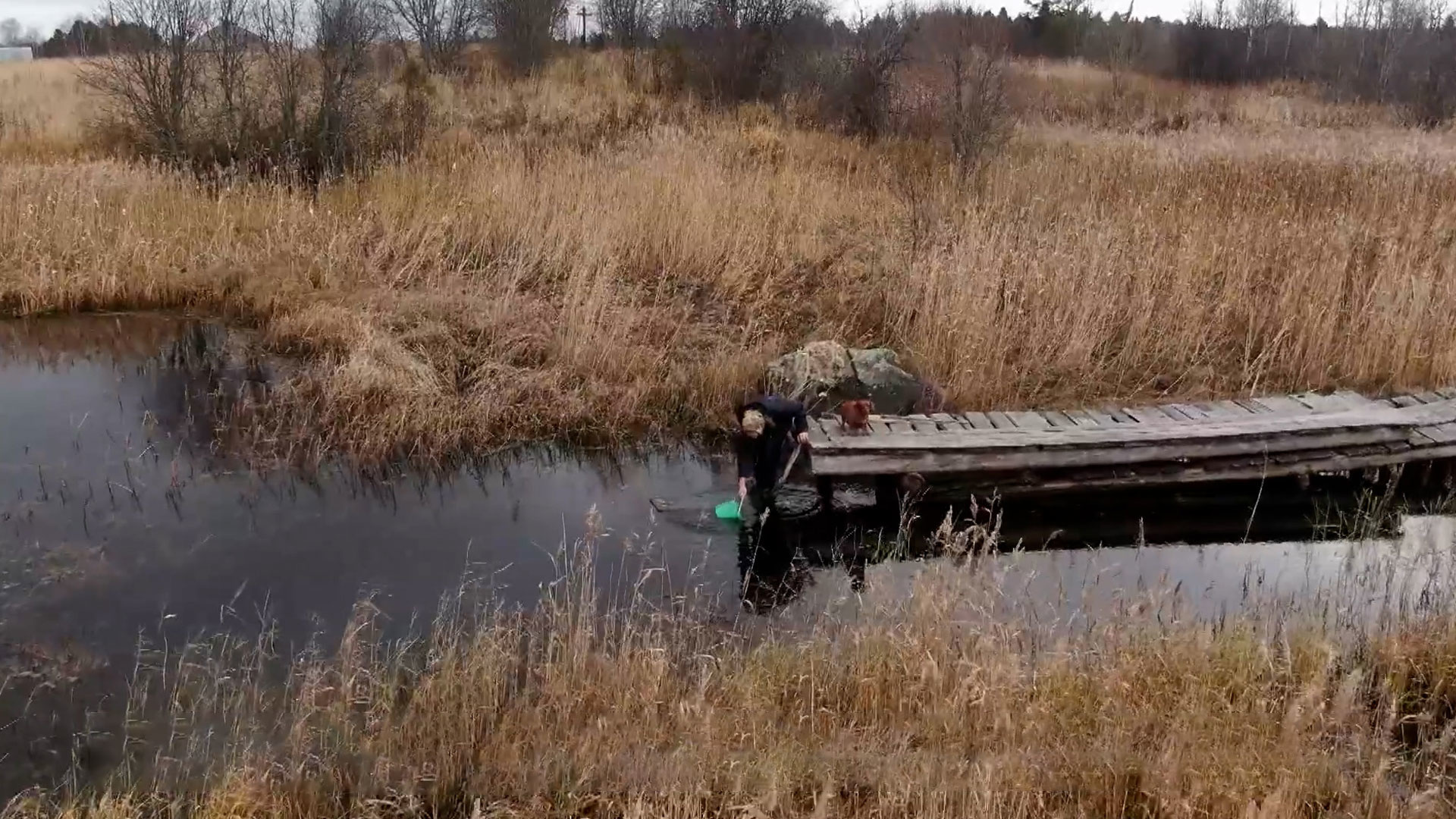 Отправляемся в экспедицию. Отшельница в карелии. Отшельница в карелии. Похороны корреспондента 1 канала. Под тихвином нашли 100 летнюю отшельницу.
