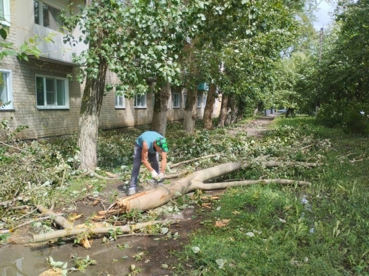 Стихия повалила деревья в Алатыре и лишила жителей света